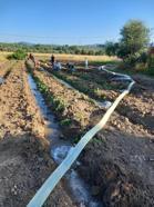 YK Enerji, Milas'ta bin dönümlük tarım arazisinin sulama sorununu çözdü