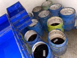 Çanakkale’de ele geçirilen 500 kilogram deniz patlıcanı, denize geri bırakıldı
