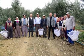 Akhisar'da zeytin hasadı yapan üreticilere koruyu ekipman desteği