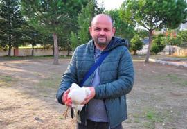 Okul bahçesindeki tavukları sokak köpeklerinden öğretmen kurtardı