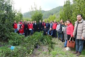 Ula'da üreticilere defne fidanı ve biberiye fidesi dağıtıldı