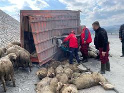 Balıkesir'de TIR, kamyona arkadan çarptı; 1 kişi hayatını kaybetti, 2 kişi yaralandı, 52 koyun öldü