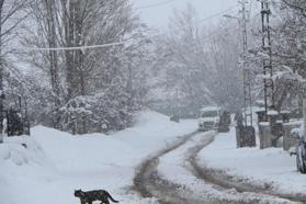 Bingöl ve Tunceli'de 247 köy yolu ulaşıma kapandı