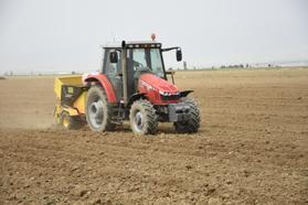 Altunhisar'da yazlık patates ekim alanı yüzde 70 arttı