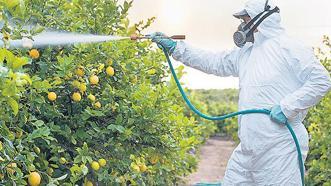 Limona 13 kez pestisit reddi