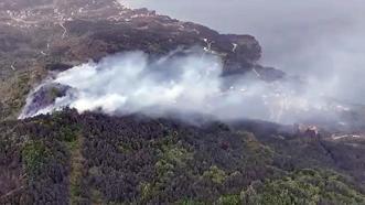 Kastamonu'da orman yangını! Rüzgarın etkisiyle yayıldı