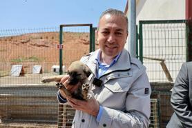 Başkan Uzun, Sokak Hayvanları Bakım ve Rehabilite Merkezi'ni ziyaret etti