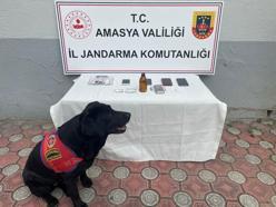 Amasya'da uyuşturucu operasyonu: 1 tutuklama