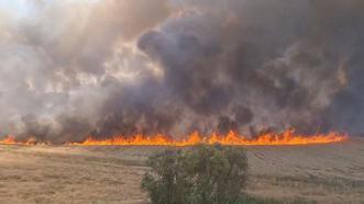 Diyarbakır'da buğday ekili arazi yandı