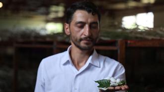 Genç girişimci Elazığ tarihinin en büyük ipek böcekçiliği çiftliğini kurdu