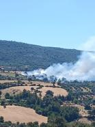 Adana'da anız yangını bahçeye sıçradı