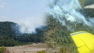 Balıkesir'de 2 ilçede orman yangını! Rahatlatan haber geldi