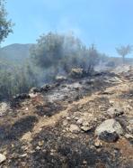 Hatay’da 3 hektar orman yandı