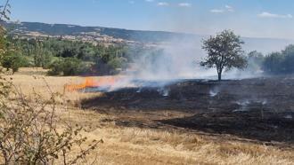 Barakada çıkan yangın, tarlaya sıçradı