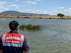 Edirne’de jandarmadan Gala Gölü Milli Parkı’nda denetim