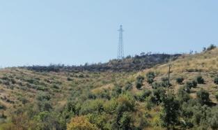 Gazipaşa'da çalılık yangını