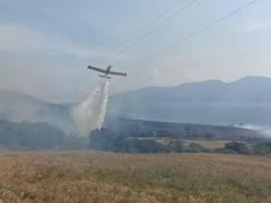 Erdek'te ot yangını; 100 dönüm alan zarar gördü