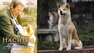 Çocuklarla birlikte izleyebileceğiniz pedagog onaylı 5 film