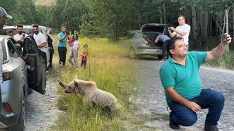 Ayı ile selfie çekip cips ikram ettiler: Burası doğal bir ortam