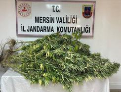 Mersin'de uyuşturucu operasyonu: 4 gözaltı