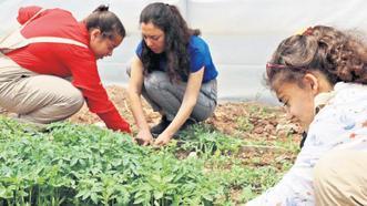 Okullarda yaşam becerileri öğretilecek