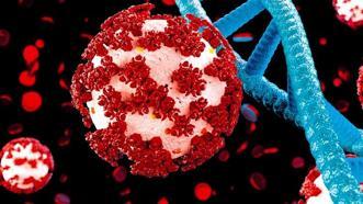 Kovid-19 bu kez iyileştirecek! Kansere karşı Virüs kullanılacak