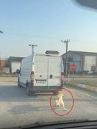 Köpeği minibüsün arkasına iple bağlayıp çekti; o anlar kamerada