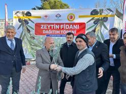 Adıyaman'da çiftçilere zeytin fidanı dağıtıldı