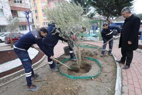 Yunusemre Belediyesi'nden kuru peyzaj çalışması