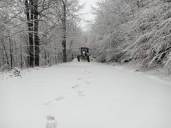 Kartepe'de kar yağışı