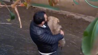 İstanbul - Ataşehir’de köpeğini kurtarmak isterken derede mahsur kaldı