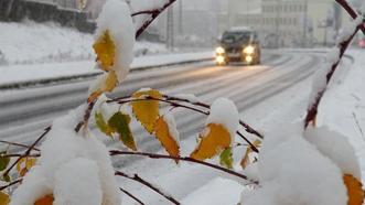 2025 KOCAKARI SOĞUKLARI NE ZAMAN? ❄ Bu yıl Kocakarı Soğukları Berdü'l Acüz yaşanmayacak mı?