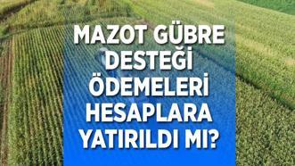 MAZOT GÜBRE DESTEĞİ 2025 ÖDEMELERİ hesaplara yatırıldı mı? Mazot Gübre Desteği ödemeleri hangi tarihte hesaplara yatırılacak?