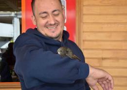 İş yerine giren ebabil kolunu bırakmadı, veteriner müdahalesiyle ayrıldı