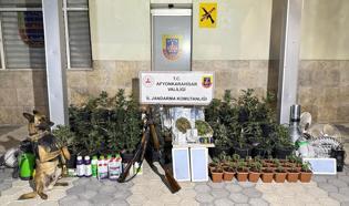 Afyonkarahisar'da Kenevir Üreten 2 Şüpheli Yakalandı
