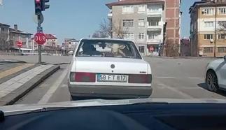 Buzağıyı otomobille veterinere götürdüler