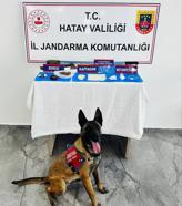 Kırıkhan'da Uyuşturucu Operasyonu: 1013 Hap Ele Geçirildi