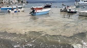 Kabus geri mi dönüyor? Marmara Denizi'nde korkutan görüntü