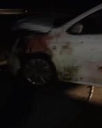 Elazığ'da Otomobilin Çarptığı 15 Koyun Öldü
