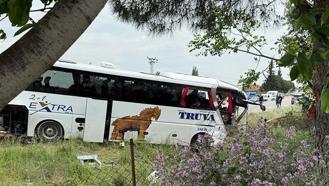 Son dakika! Çanakkale'de korkunç kaza: 8 ölü, çok sayıda yaralı var