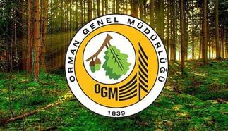 OGM 3 BİN 477 İŞÇİ ALIMI SONUÇLARI SON DURUM 📌 OGM personel alımı sonuçları ne zaman belli olacak? 2025 OGM personel alımı kurası ne zaman?