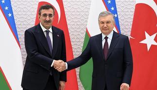 Cumhurbaşkanı Yardımcısı Cevdet Yılmaz, Özbekistan Cumhurbaşkanı Mirziyoyev tarafından kabul edildi