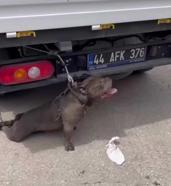 Malatya'da pitbull cinsi köpeğin saldırısına uğrayan kadın yaralandı