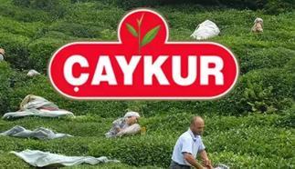 ÇAYKUR 1500 İŞÇİ ALIMI KURA ÇEKİMİ: ÇAYKUR işçi alımı kura ne zaman? ÇAYKUR 1500 işçi alımı sonuçları isim listesi ne zaman belli olacak?