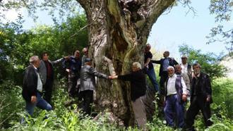 50 teneke hasar yapıldı, 7 kişi el ele tutuşup sarıldı: Hiç kurumaya niyeti yok