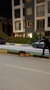 Başına poşet takılan çakal vatandaşın imdadına yetişti