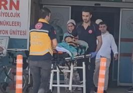 Kurban kesilen bahçede bıçağın üzerine düşen Çınar ağır yaralandı