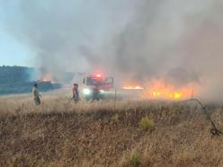 Çanakkale'de tarım arazisinde yangın
