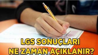 LGS 2025 sonuçları ne zaman açıklanacak? 📢 MEB LGS sonuç tarihi ve sorgulama ekranı