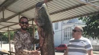 Meriç Nehri'nde 80 kilogramlık yayın balığı yakalandı Meriç Nehri'nde yakalanan dev! Kem